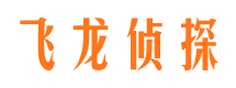 新民市调查公司